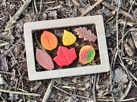 Sensory Play Stones – Leaves