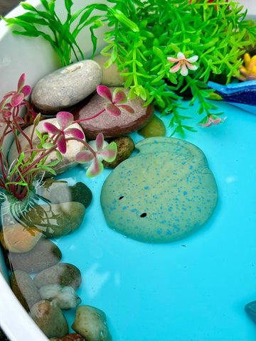 Fish – Sensory Play Stones