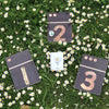Outdoor Nature Numbers Pack