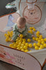 Quick Up Activity Ball Pit and 20 Balls Winnie The Pooh
