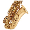 Alto Saxophone, Musical Instruments Learning SPACE