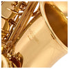 Alto Saxophone, Musical Instruments Learning SPACE