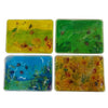 Aquatic Water Play Pads - 4 Pack, Learning SPACE