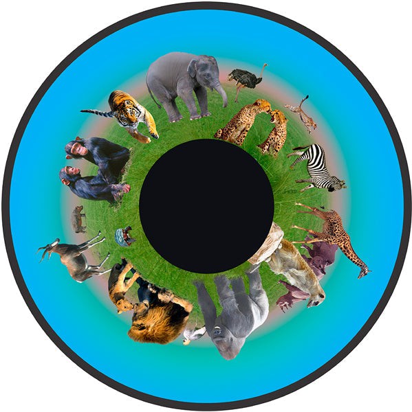 Aura and Solar Projector - 6 Inch Magnetic Picture Wheel, Animals VAT Exempt Learning SPACE