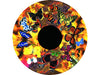 Aura and Solar Projector - 6 Inch Magnetic Picture Wheel, Learning SPACE