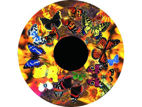 Aura and Solar Projector - 6 Inch Magnetic Picture Wheel, Learning SPACE
