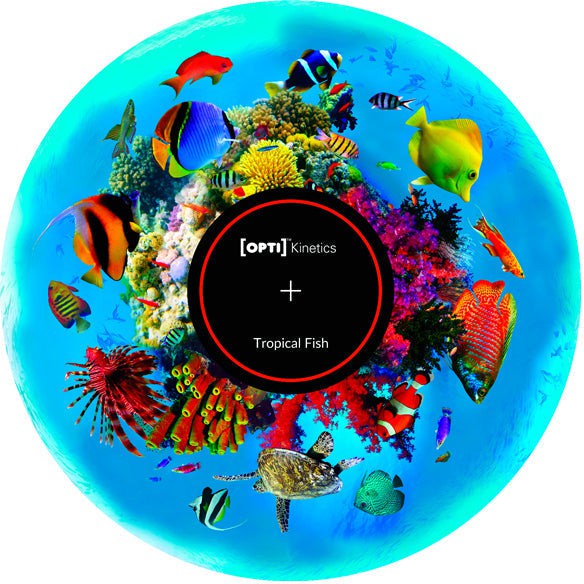 Aura and Solar Projector - 6 Inch Magnetic Picture Wheel, Tropical Fish VAT Exempt Learning SPACE