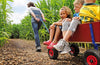 Three children riding in a wooden BERG Beach Wagon pulled along a path through tall crops