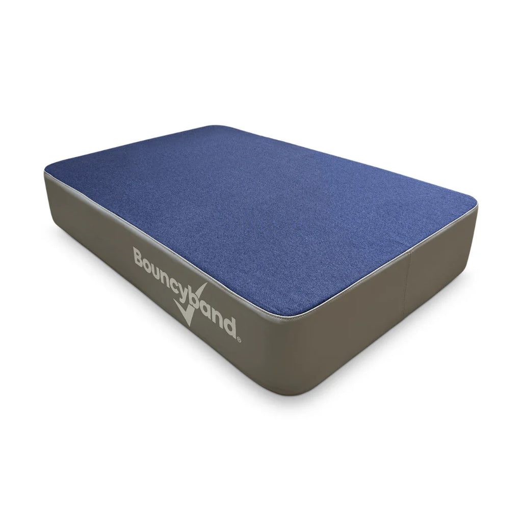 Bouncyband® Bouncy Pad-ADD/ADHD,Autism,Bounce,Bounce & Spin,Bouncyband,Movement Breaks-Learning SPACE