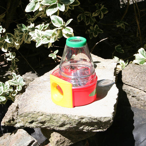 Bug And Plant Taster Pack-Classroom Packs,Dropship,Early Science,EDUK8,Forest School & Outdoor Garden Equipment,Garden Game,Nature,Outdoor Play,Science Activities,Spring-Learning SPACE