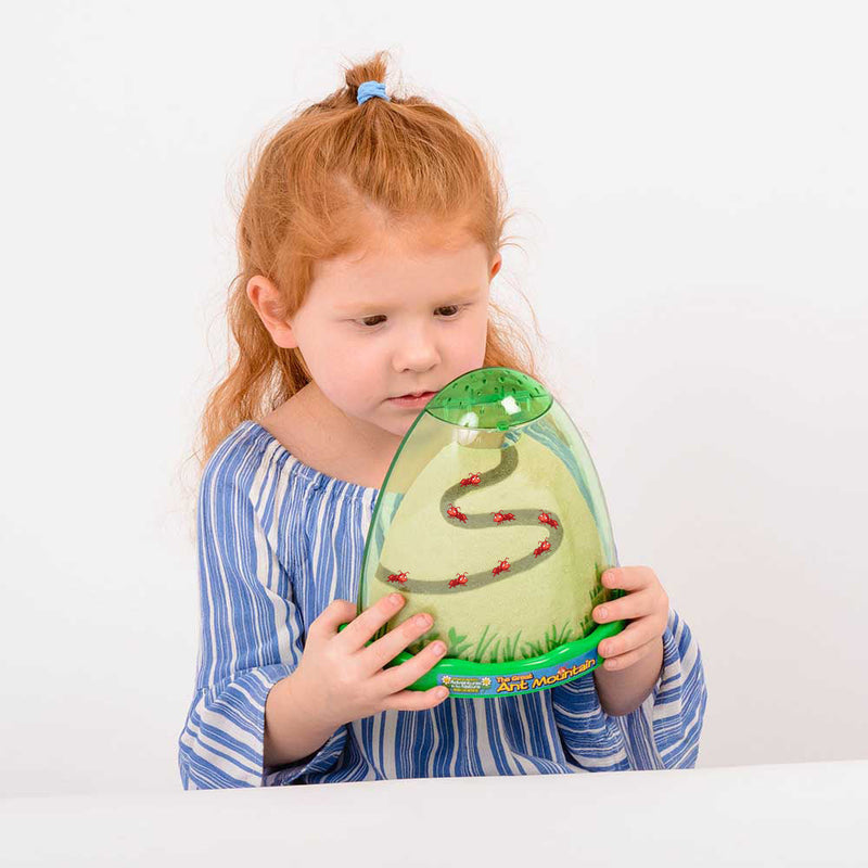Bug And Plant Taster Pack, Learning SPACE