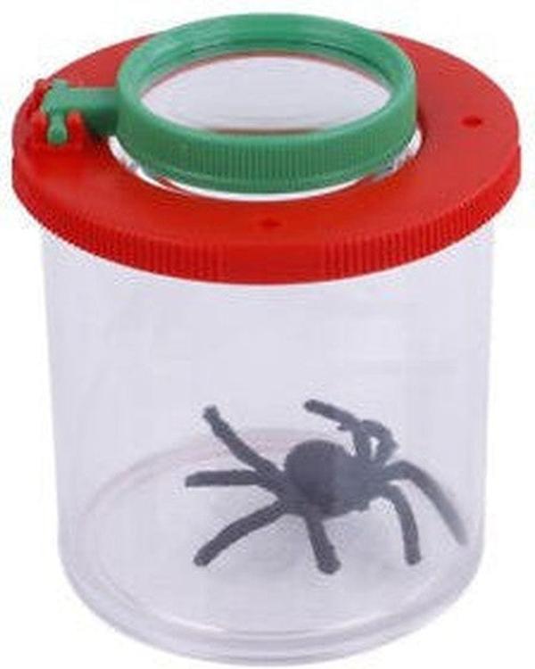 Bug Viewer with Dual Magnification, Learning SPACE