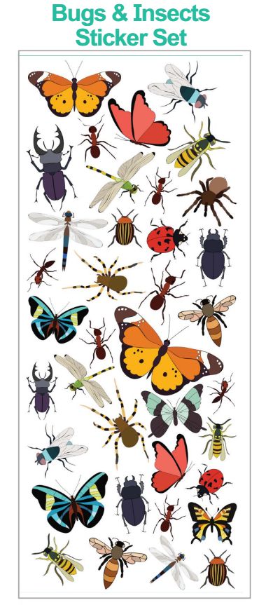 Bugs Sticker Set, Learning SPACE