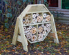 Bugsville Hive, Learning SPACE
