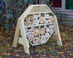 Bugsville Hive, Learning SPACE