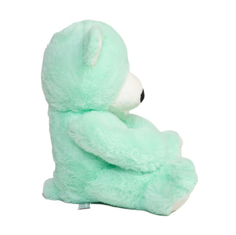 Calm Bear - Mood Bear-Additional Need,Calming & Anxiety,Calming and Relaxation,Comfort Toys,Eco Friendly,Emotions & Self Esteem,excell2,Games & Toys,Helps With,Mood Bear,PSHE,Social Emotional Learning,Social Stories & Games & Social Skills-Learning SPACE