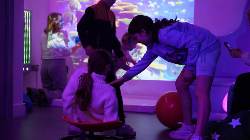 Carousel - Sit and Spin, Learning SPACE