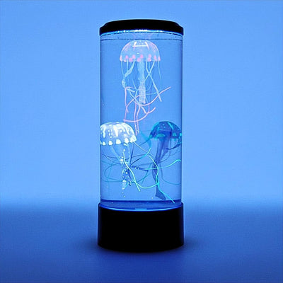 Sensory Toys