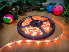 Connect Pro 20m LED Strip Light with Diffusers, Indoor Lighting Learning SPACE