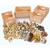 Cosy Complete Natural Treasure Collection, Learning SPACE