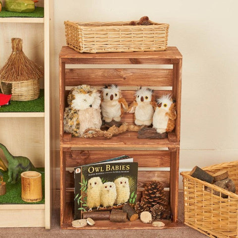 Crate Story Shelves - Reading Nook Essentials (2 pack), Learning SPACE