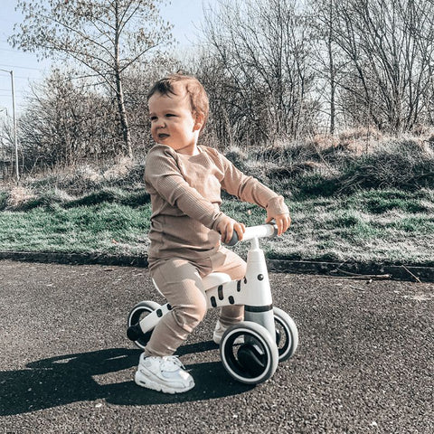 Diditrike - Zebra Ride on Trike-Baby & Toddler Gifts,Baby Ride On's & Trikes,Balance Bikes,Bigjigs Toys,Didicar,Ride & Scoot,Ride On's. Bikes & Trikes,Ride Ons,Trikes-Learning SPACE