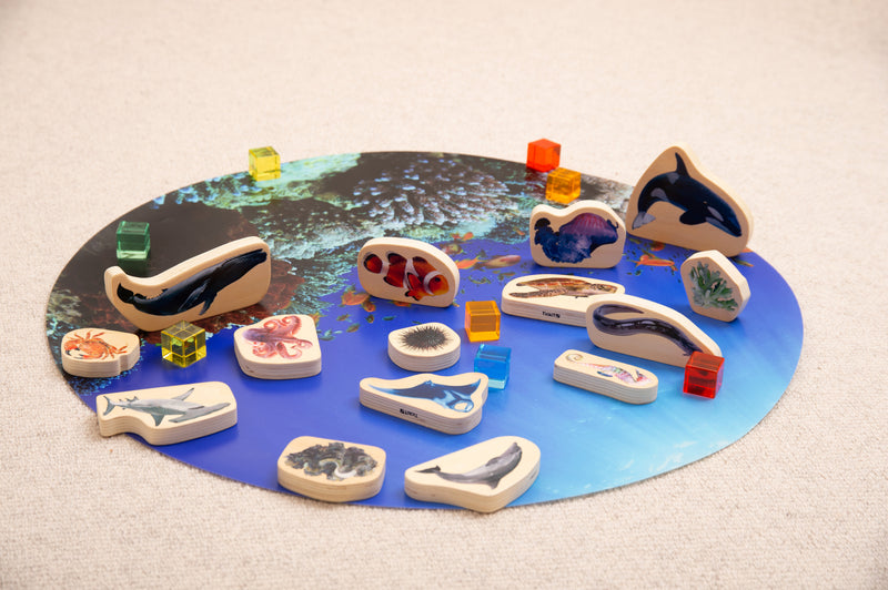Discovery Table Sea Bundle, Learning SPACE