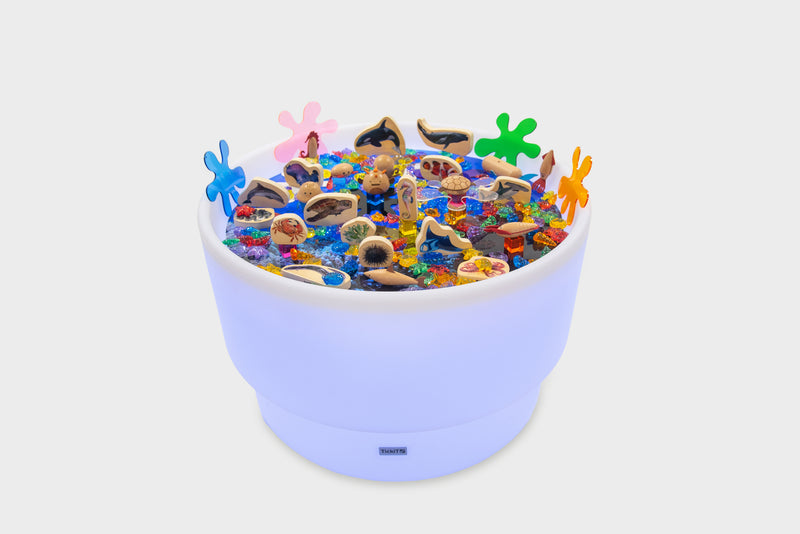 Discovery Table Sea Bundle, Learning SPACE
