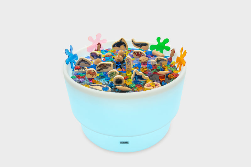 Discovery Table Sea Bundle, Learning SPACE