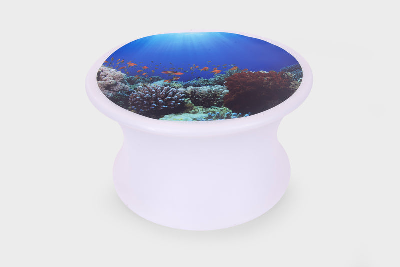 Discovery Table Sea Bundle, Learning SPACE