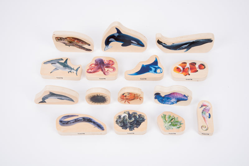 Discovery Table Sea Bundle, Learning SPACE