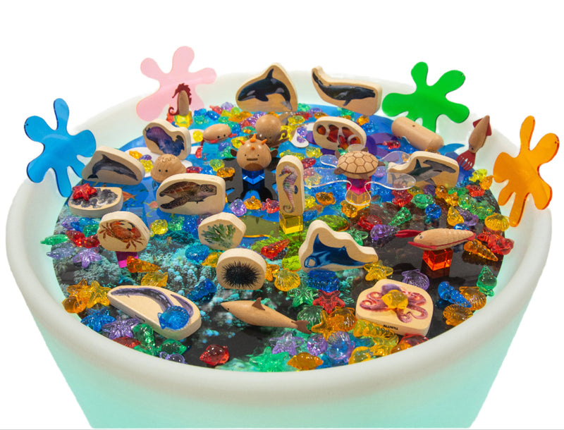 Discovery Table Sea Bundle, Learning SPACE