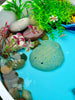 Fish – Sensory Play Stones, Learning SPACE