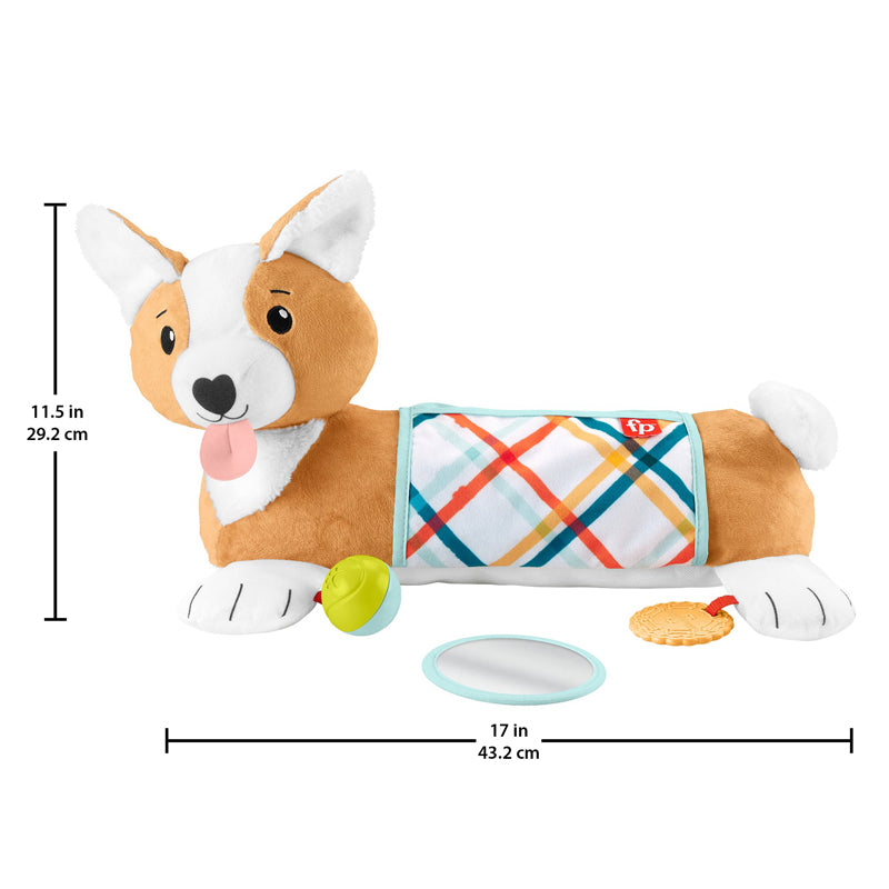 Fisher-Price Corgi Tummy Time Puppy Wedge, Learning SPACE
