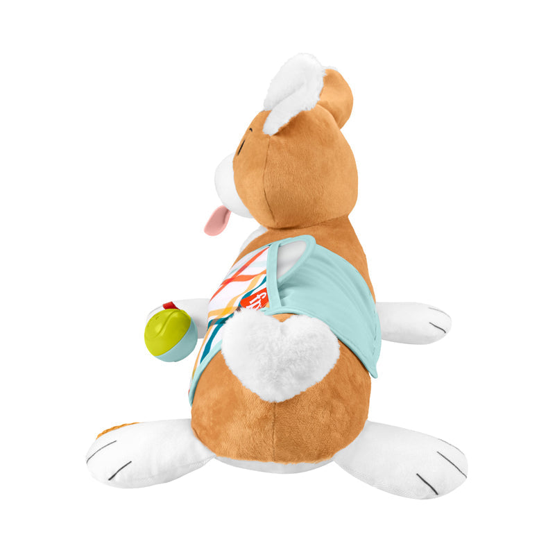 Fisher-Price Corgi Tummy Time Puppy Wedge, Learning SPACE