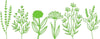 Flower Wall Decal, Green 52x20 cm Learning SPACE