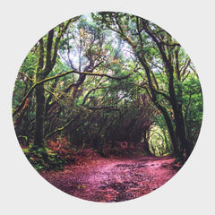 Forest Discovery Play Mat, Learning SPACE