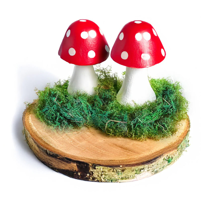 Forest Schools - Natural Woodland Kit, Learning SPACE