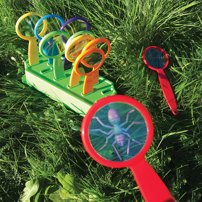 Forest Schools - Urban School Kit, Learning SPACE