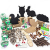 Forest Schools - Urban School Kit, Learning SPACE