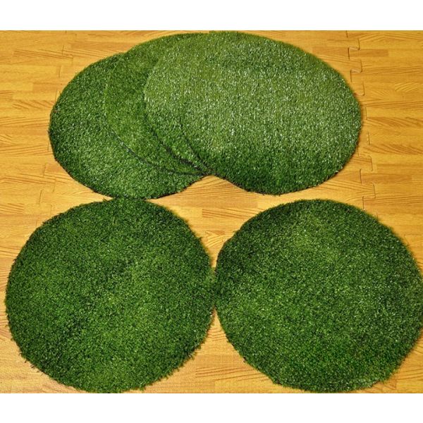 Grass Perch Spots (6PK), Learning SPACE