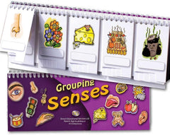 Grouping Senses flip Book, Learning SPACE