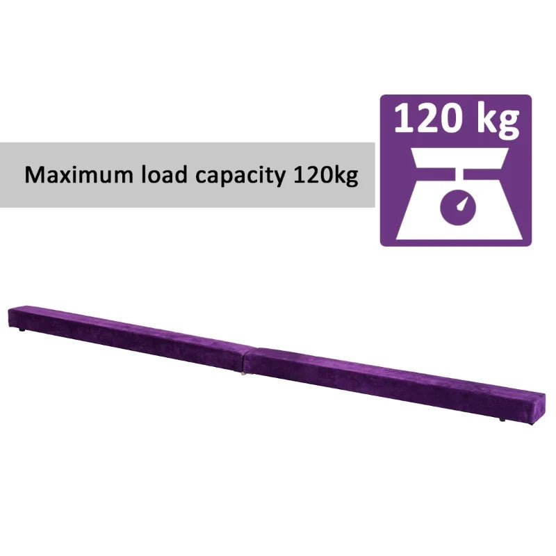 Gymnastics Folding Balance Beam, Learning SPACE