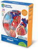 Heart Anatomy Display Model-Fire. Police & Hospital,Human Body,Imaginative Play,Learning Resources,S.T.E.M,Stock-Learning SPACE
