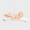 Heuristic Play Starter Set 63-Piece Wooden Sensory Exploration Kit, Learning SPACE