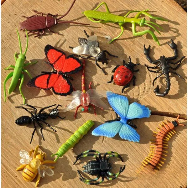 Insects (24Pk), Learning SPACE