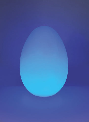 Interactive Mood Egg For Connect Pro Range, Learning SPACE