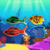 Jelly Fish Shapes, Learning SPACE