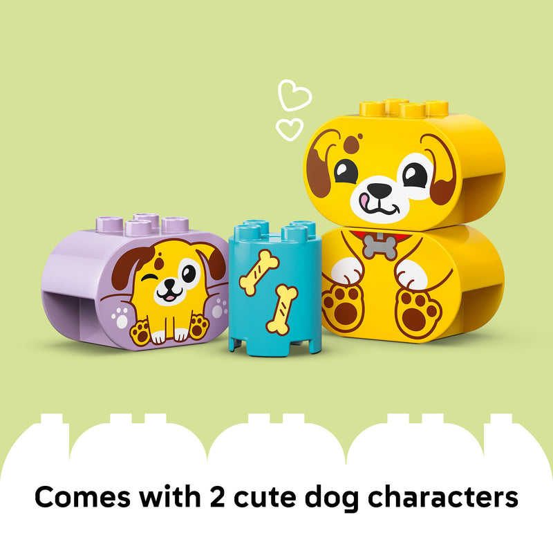 LEGO® DUPLO (10441) My First Shape Sorter: Puppy House, Learning SPACE