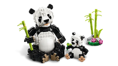 LEGO® Wild Animals: Panda Family (31165)-Animals,Building Blocks,Christmas,Christmas 2025,Engineering & Construction,Fine Motor Skills,Games & Toys,Gifts for 8+,LEGO®-Learning SPACE